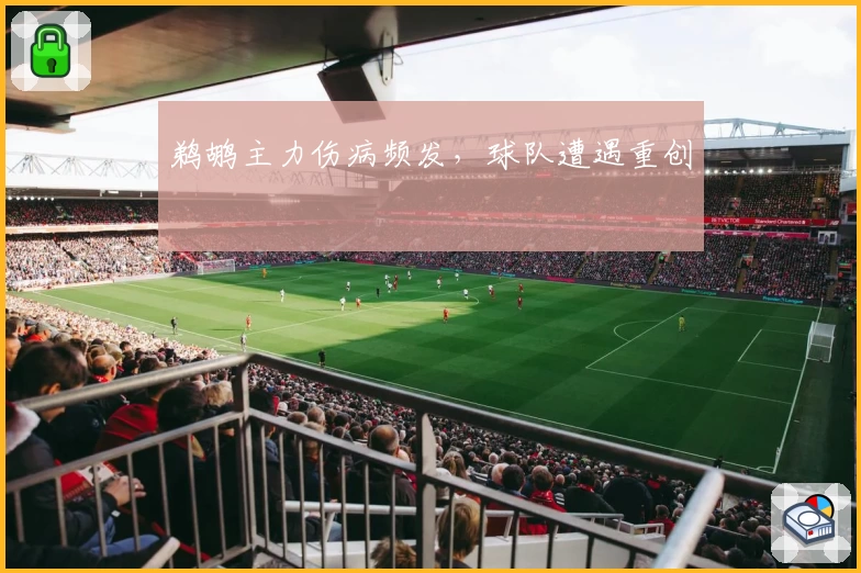 鹈鹕主力伤病频发，球队遭遇重创