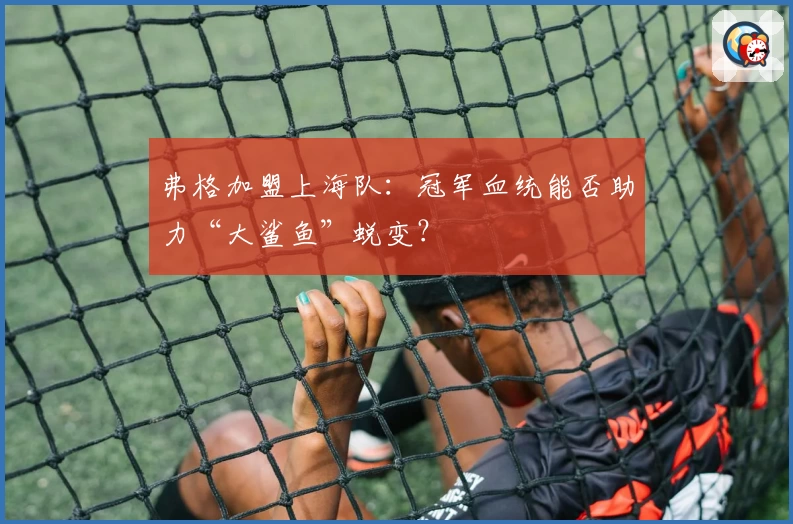 弗格加盟上海队：冠军血统能否助力“大鲨鱼”蜕变？
