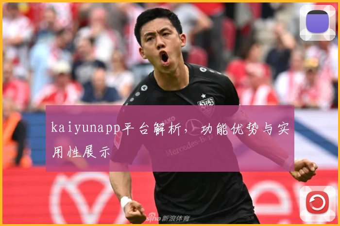 kaiyunapp平台解析，功能优势与实用性展示