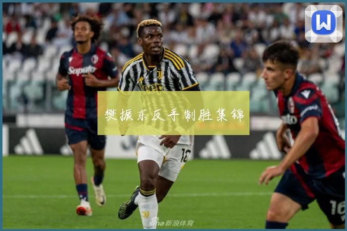 樊振东反手制胜集锦