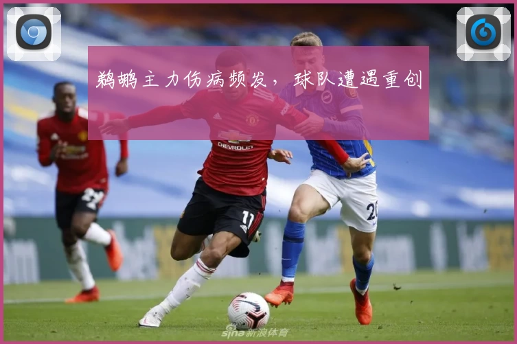 鹈鹕主力伤病频发，球队遭遇重创