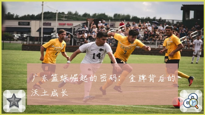 广东篮球崛起的密码:金牌背后的沃土成长