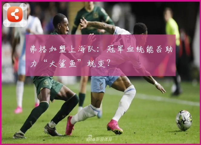 弗格加盟上海队：冠军血统能否助力“大鲨鱼”蜕变？