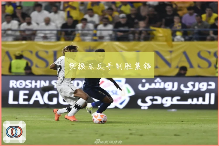 樊振东反手制胜集锦