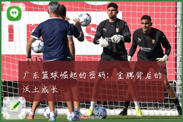 广东篮球崛起的密码：金牌背后的沃土成长