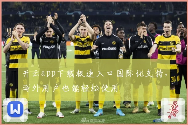 开云app下载极速入口国际化支持，海外用户也能轻松使用
