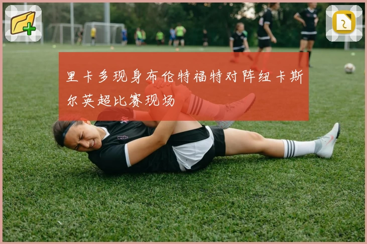 里卡多现身布伦特福特对阵纽卡斯尔英超比赛现场