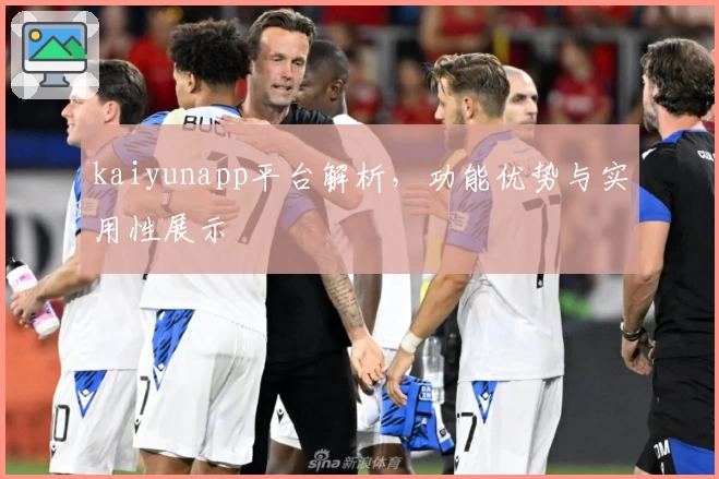 kaiyunapp平台解析，功能优势与实用性展示