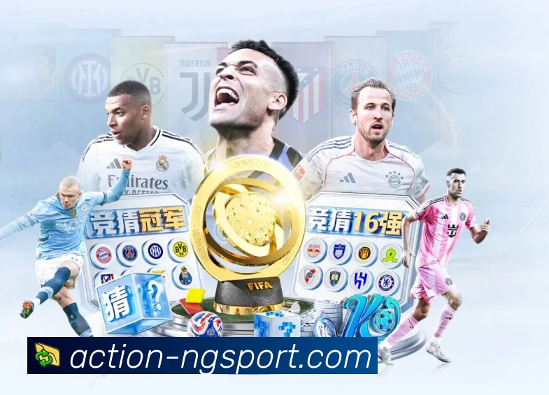 NG体育 App 实景图